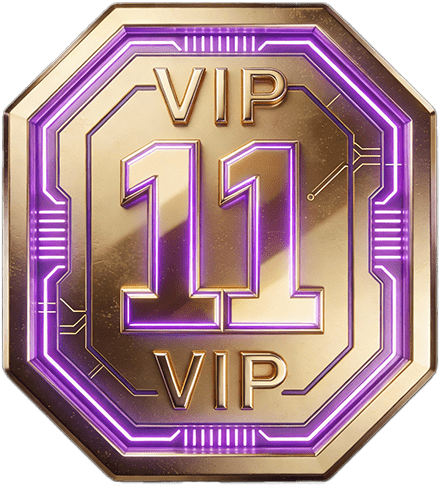 BigTaka VIP11 badge
