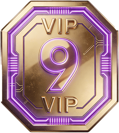 BigTaka VIP9 badge
